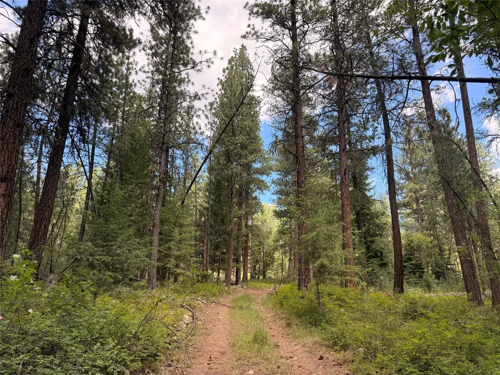 512 Lookout Trail Stevensville MT 59870