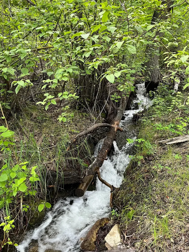 512 Lookout Trail Stevensville MT 59870