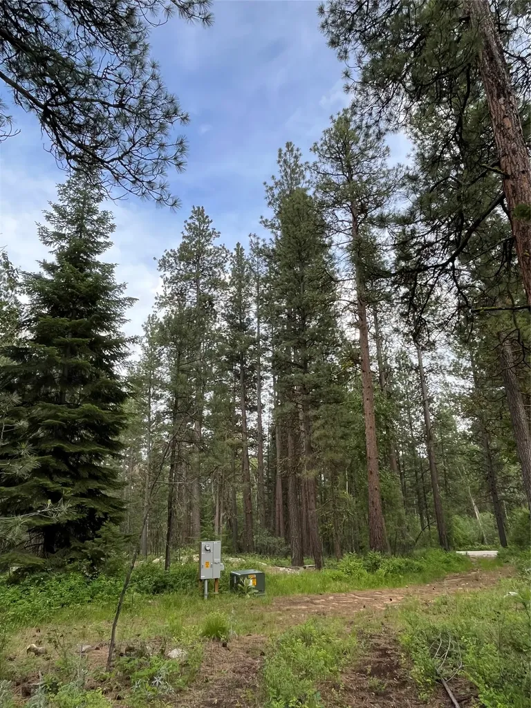 512 Lookout Trail Stevensville MT 59870