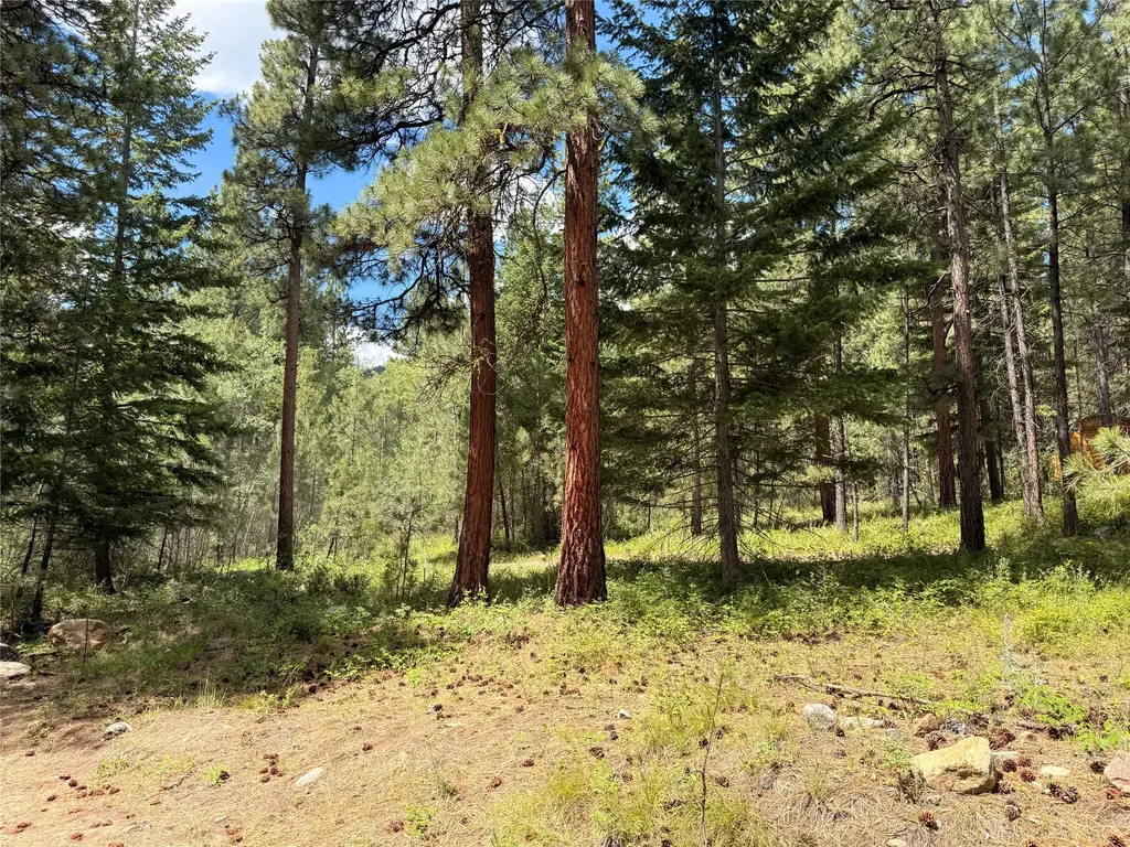 512 Lookout Trail Stevensville MT 59870