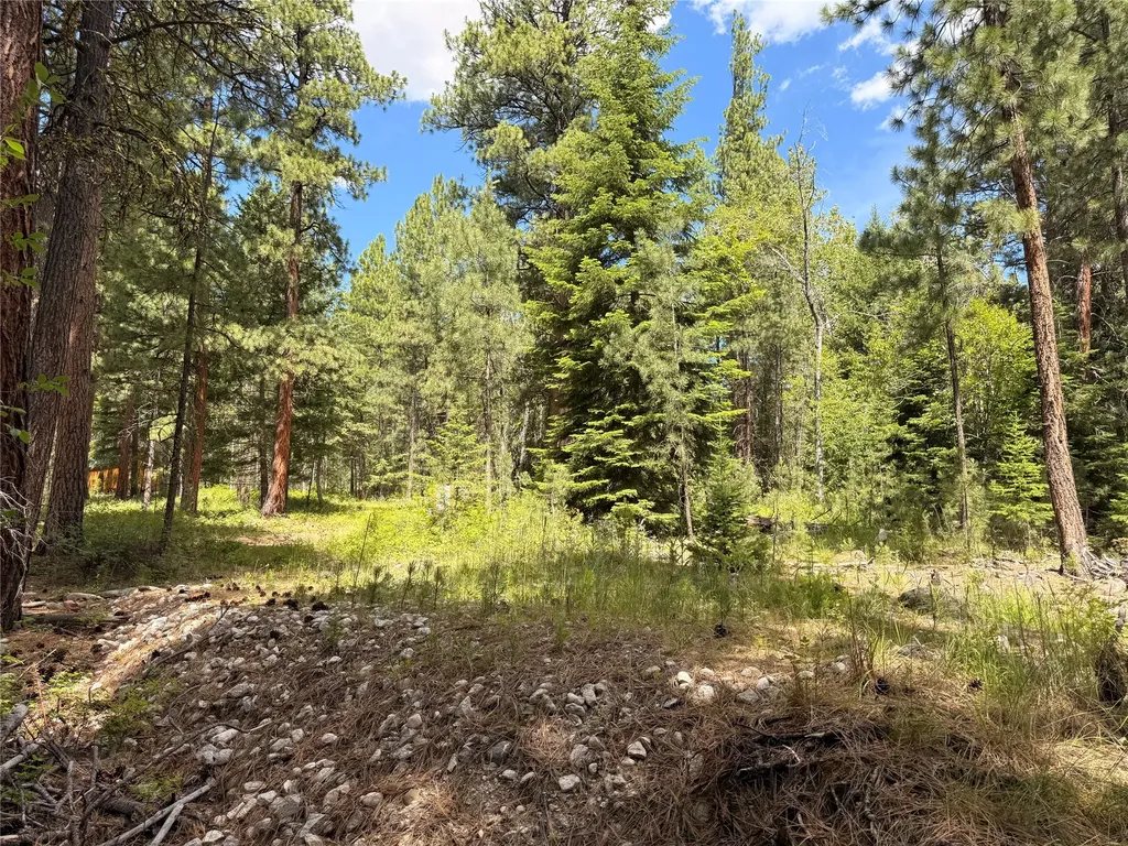 512 Lookout Trail Stevensville MT 59870