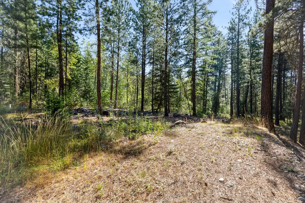 512 Lookout Trail Stevensville MT 59870