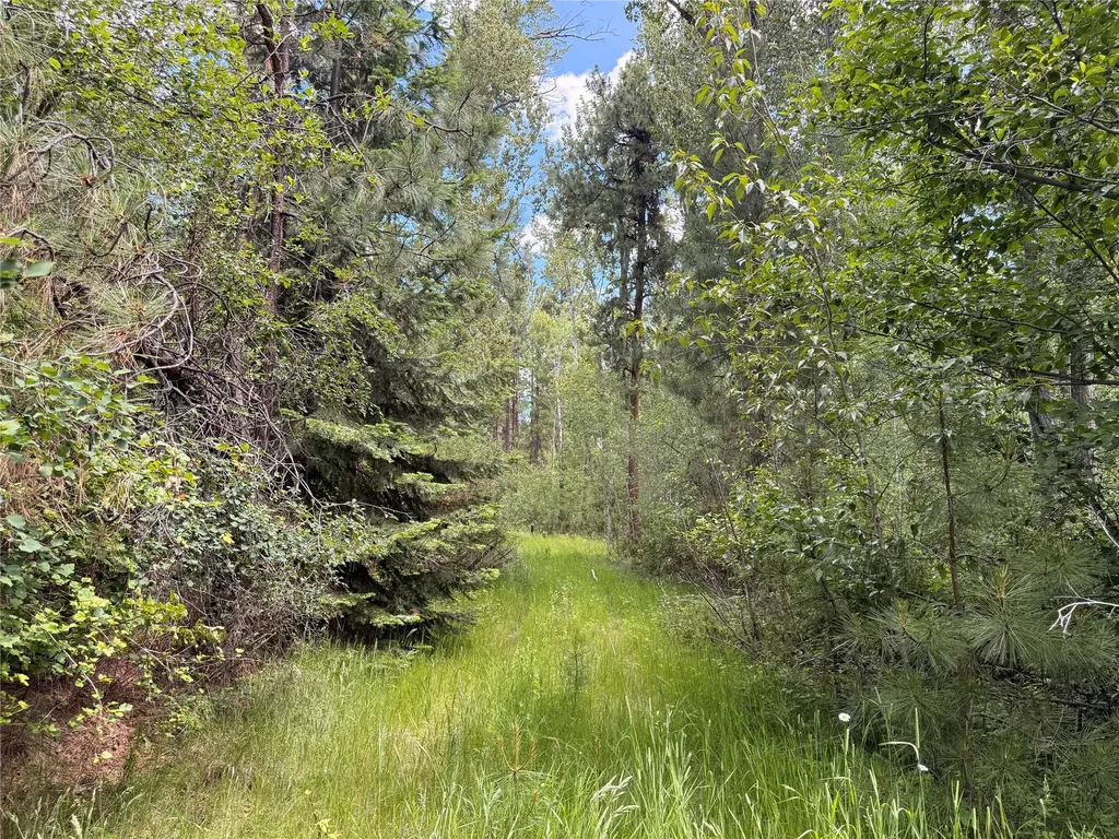 512 Lookout Trail Stevensville MT 59870