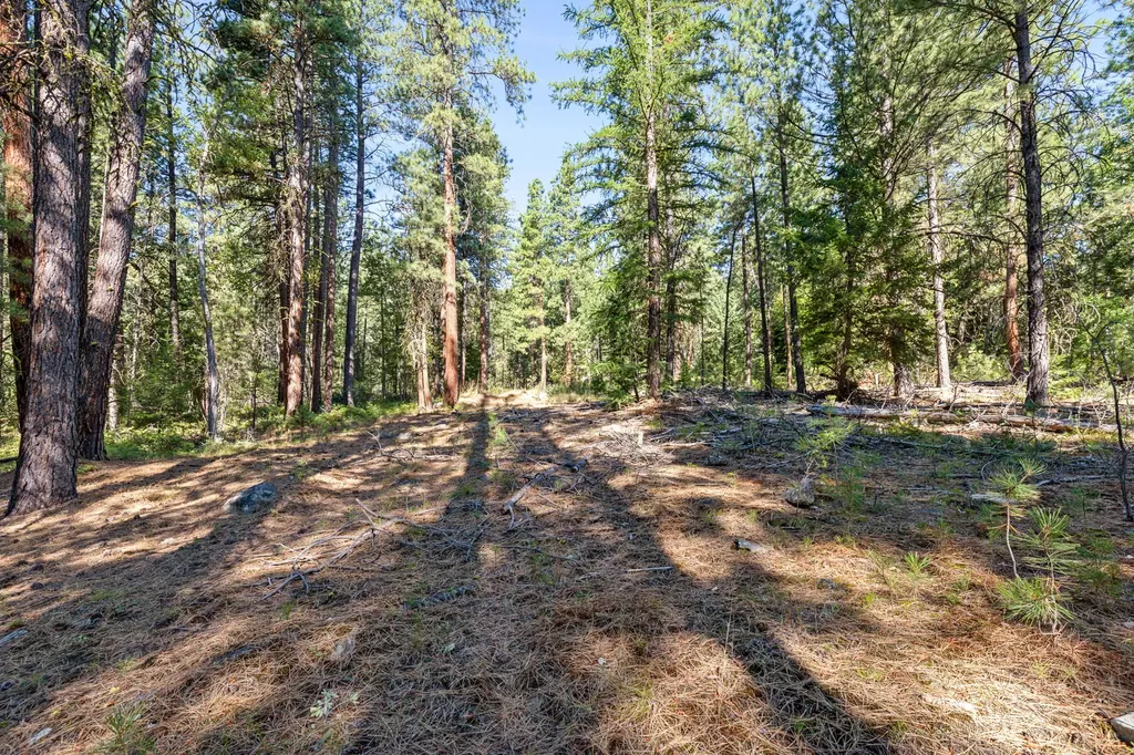 512 Lookout Trail Stevensville MT 59870