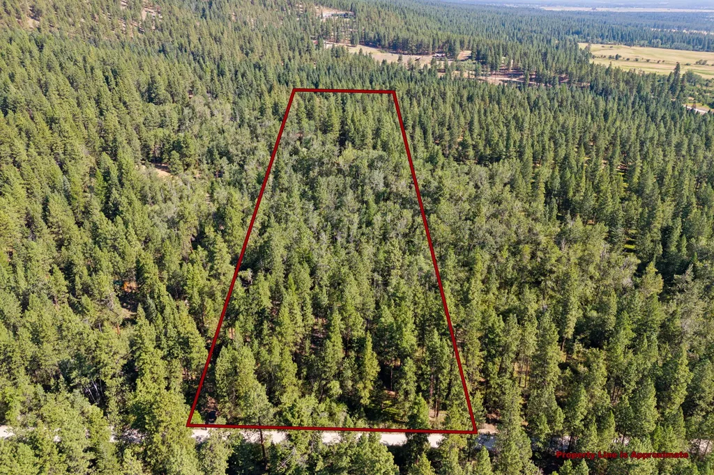 512 Lookout Trail Stevensville MT 59870