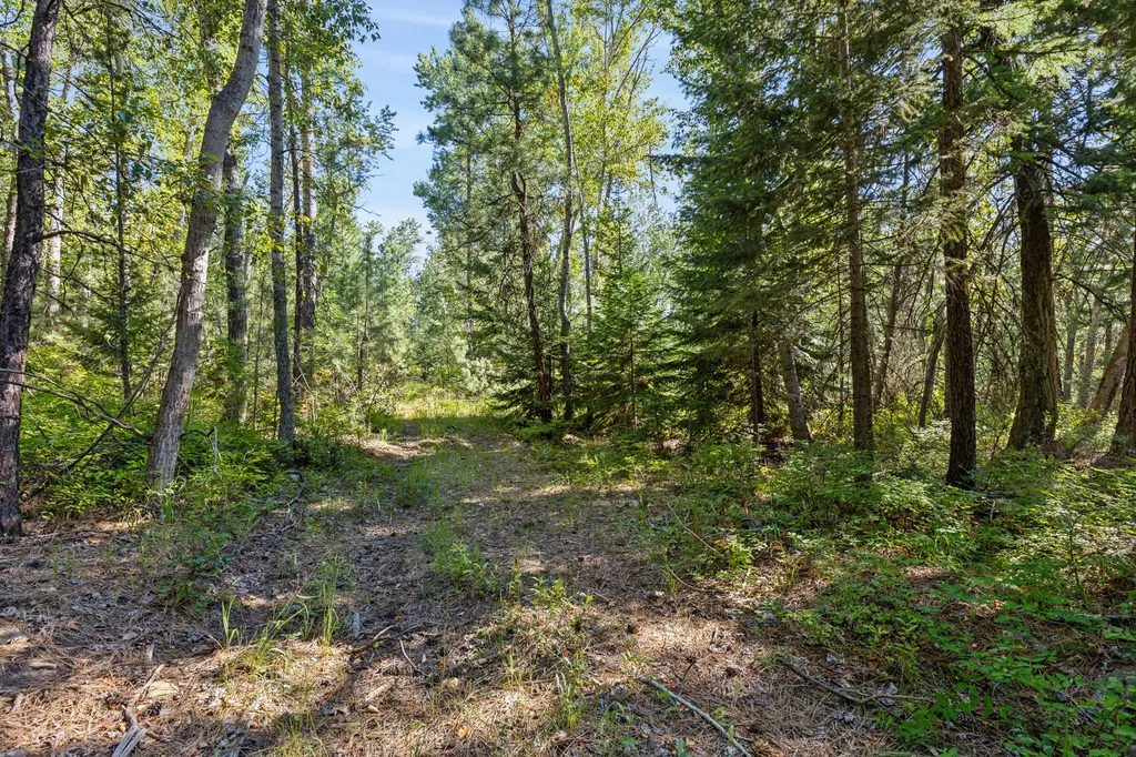 512 Lookout Trail Stevensville MT 59870