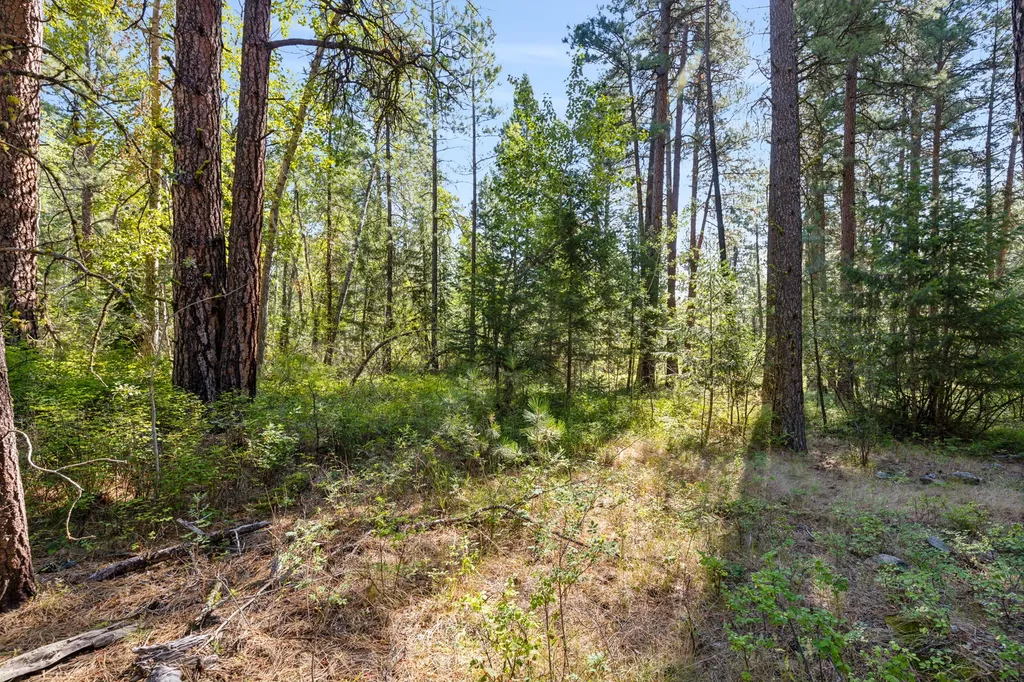 512 Lookout Trail Stevensville MT 59870