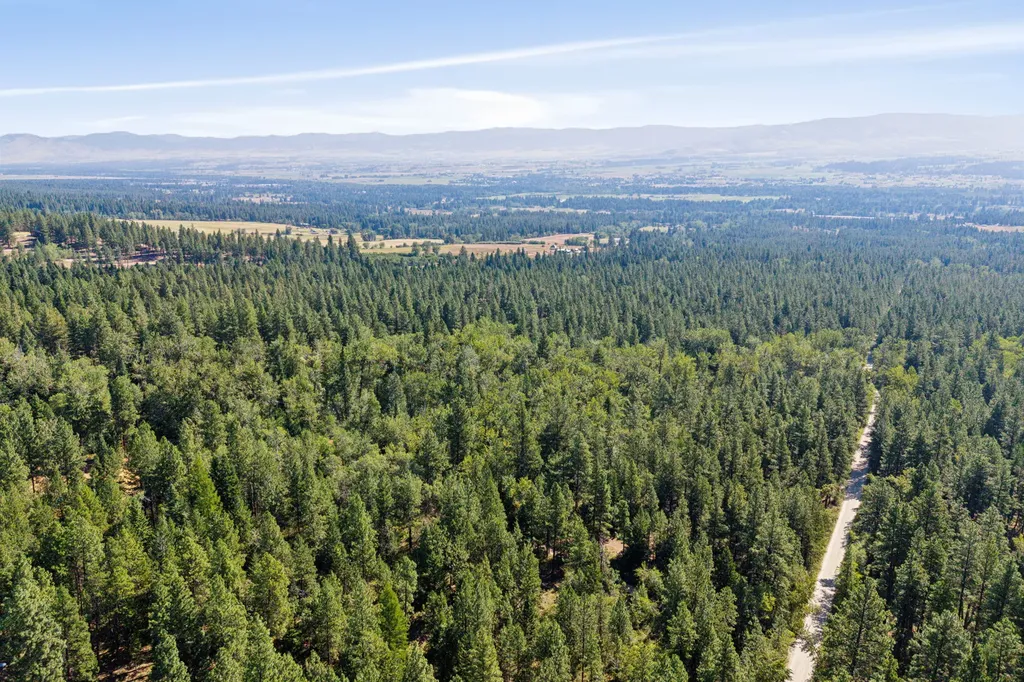 512 Lookout Trail Stevensville MT 59870