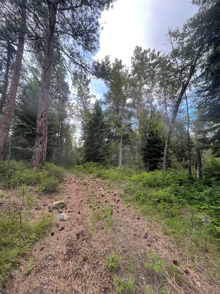 512 Lookout Trail Stevensville MT 59870
