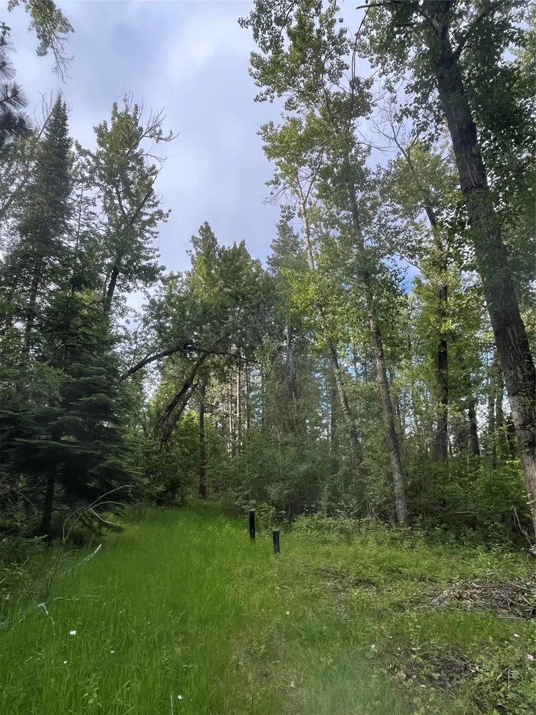 512 Lookout Trail Stevensville MT 59870