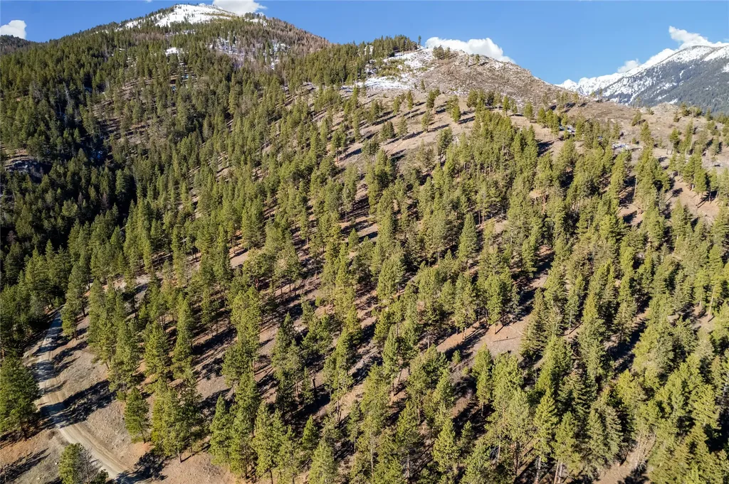 Tbd Glen Lake Trailhead Road Victor MT 59875