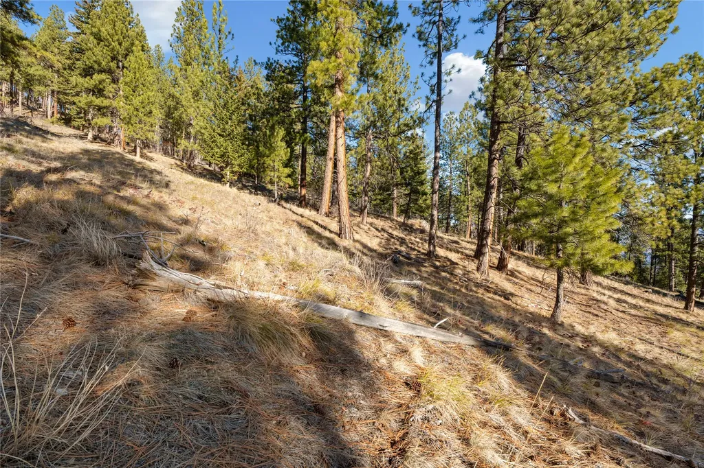 Tbd Glen Lake Trailhead Road Victor MT 59875