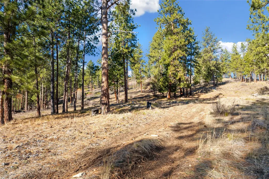 Tbd Glen Lake Trailhead Road Victor MT 59875