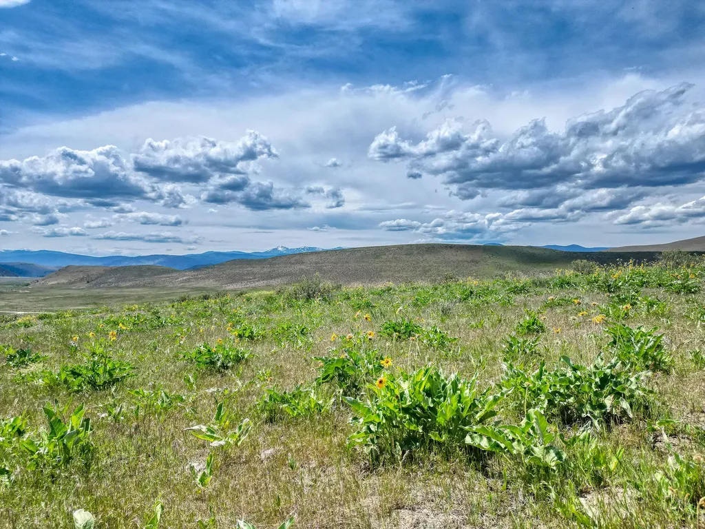 7800 Browns Meadow Road Niarada MT 59845
