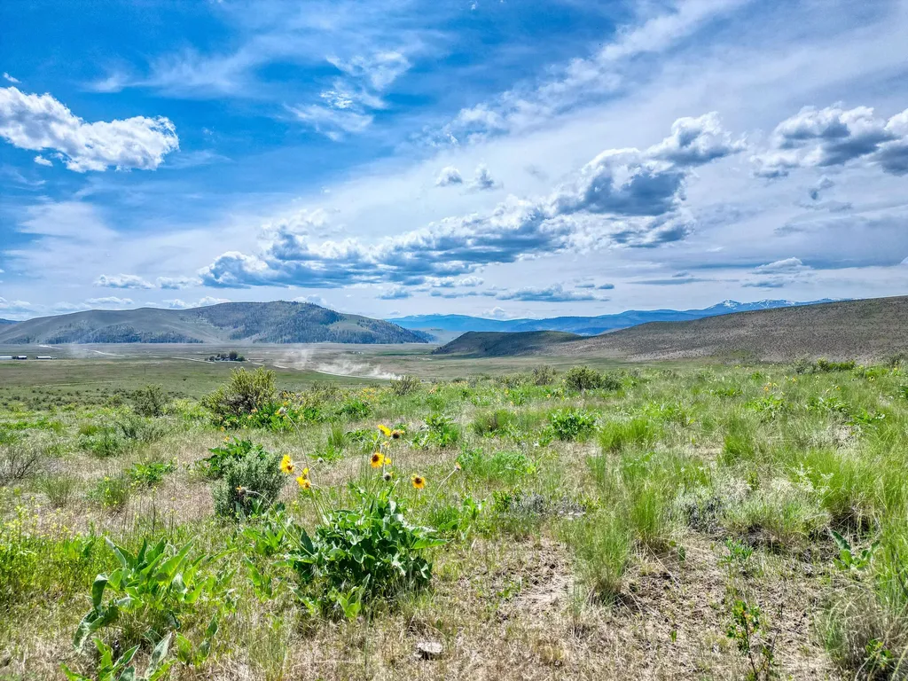 7800 Browns Meadow Road Niarada MT 59845