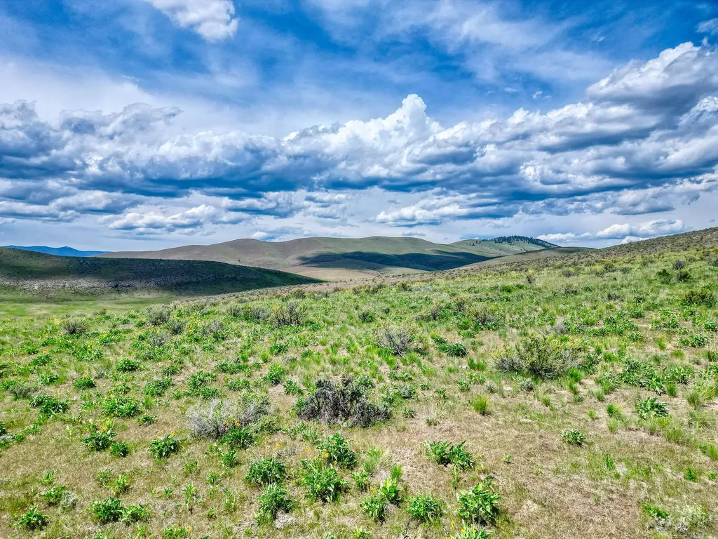 7800 Browns Meadow Road Niarada MT 59845