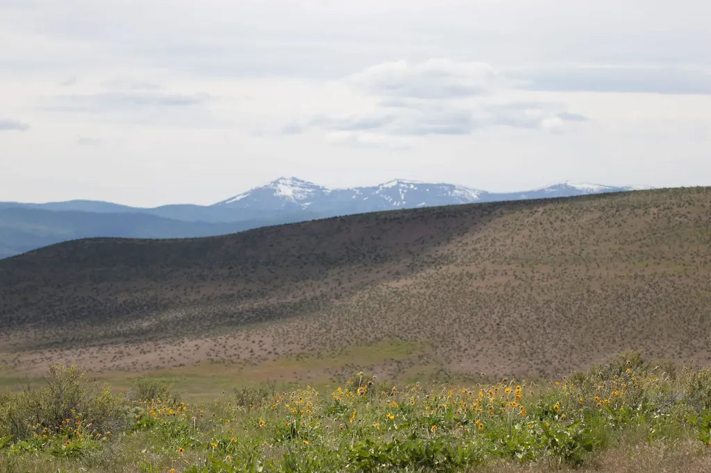 7800 Browns Meadow Road Niarada MT 59845