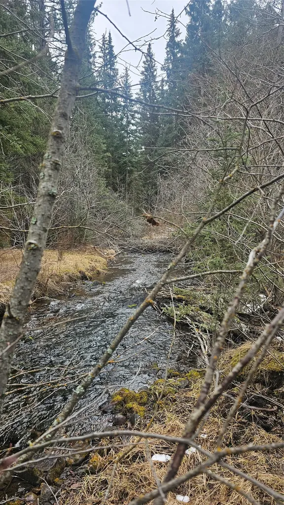 3725 Stonewall Creek Road Lincoln MT 59639