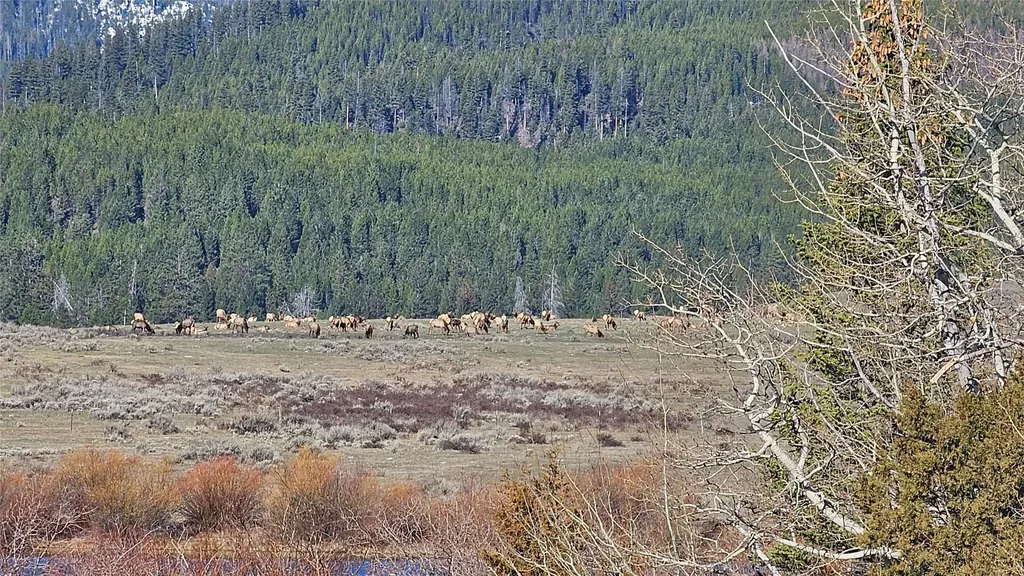 3725 Stonewall Creek Road Lincoln MT 59639