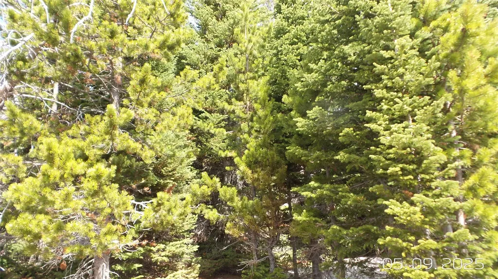Hidden Treasure Section 01 White Sulphur Springs MT 59645