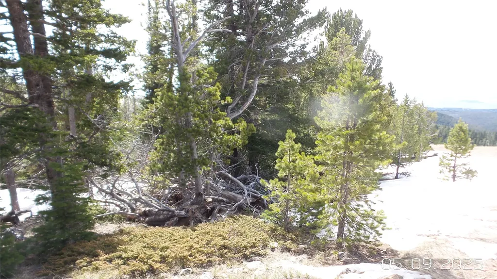 Hidden Treasure Section 01 White Sulphur Springs MT 59645