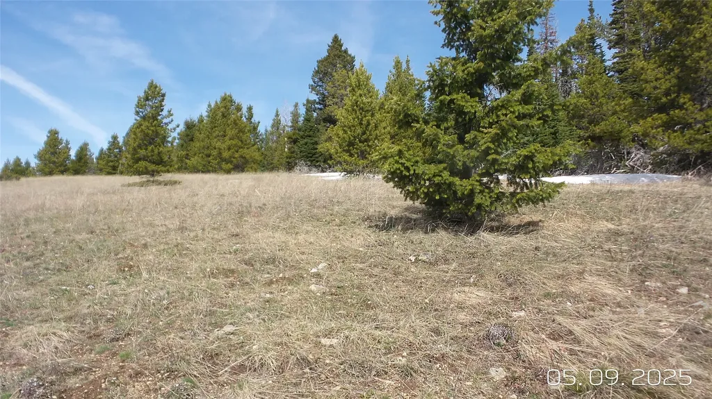 Hidden Treasure Section 01 White Sulphur Springs MT 59645