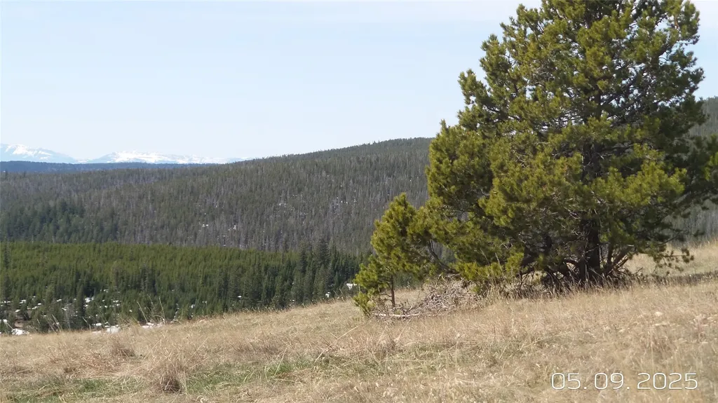 Hidden Treasure Section 01 White Sulphur Springs MT 59645