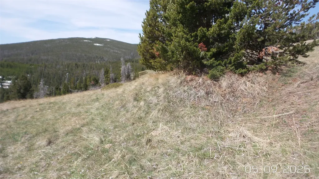 Hidden Treasure Section 01 White Sulphur Springs MT 59645