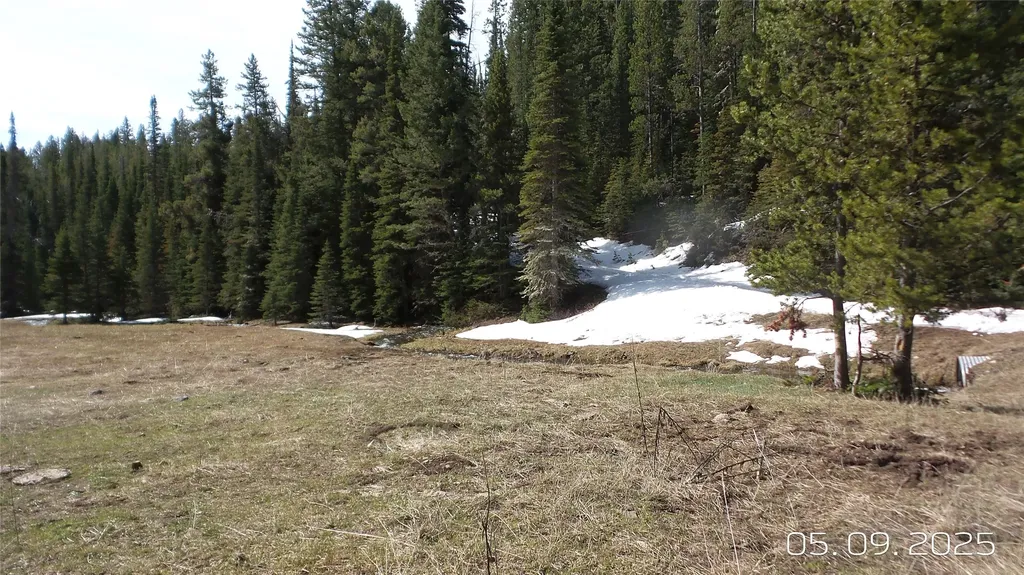 Hidden Treasure Section 01 White Sulphur Springs MT 59645