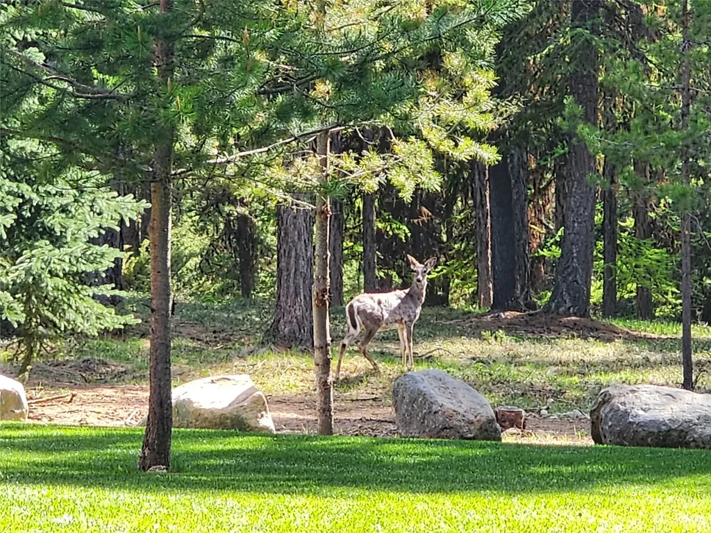 85 Wild Sheep Drive Troy MT 59935