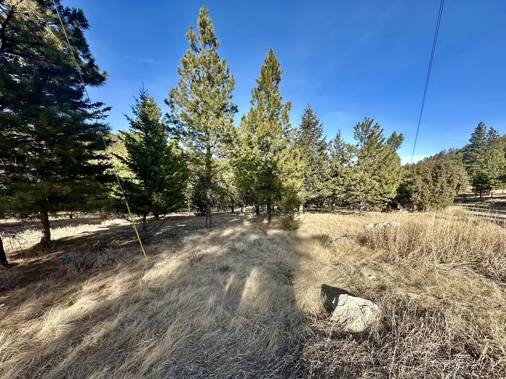 Tbd Martinez Gulch Clancy MT 59634