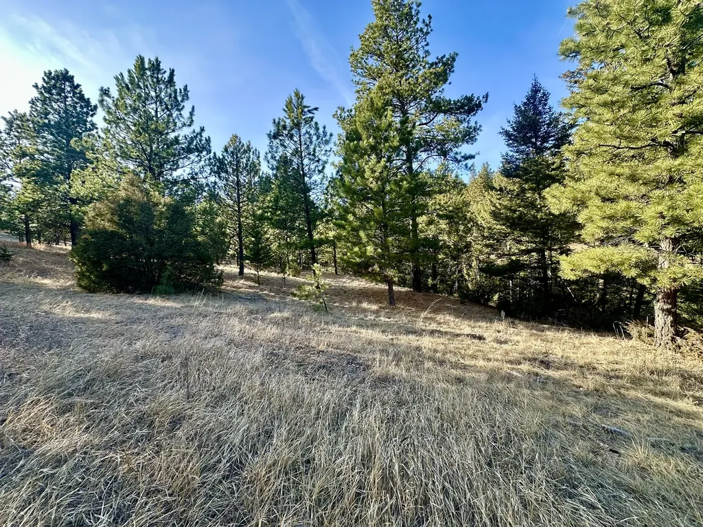 Tbd Martinez Gulch Clancy MT 59634