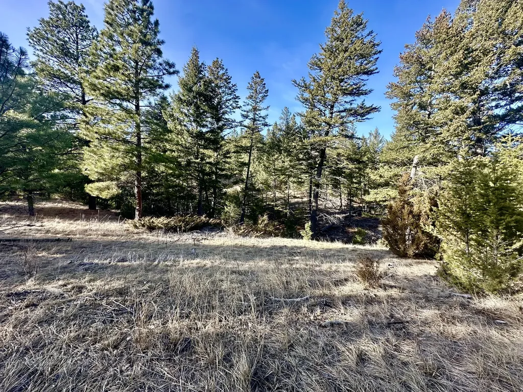 Tbd Martinez Gulch Clancy MT 59634