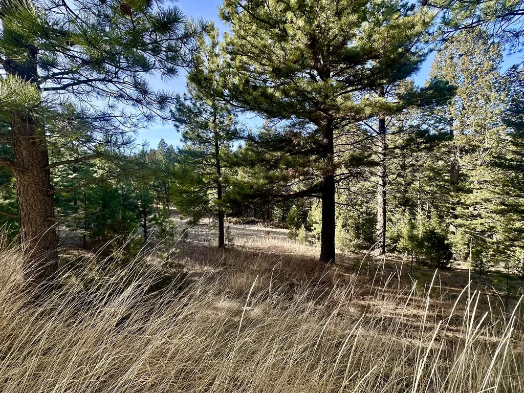 Tbd Martinez Gulch Clancy MT 59634