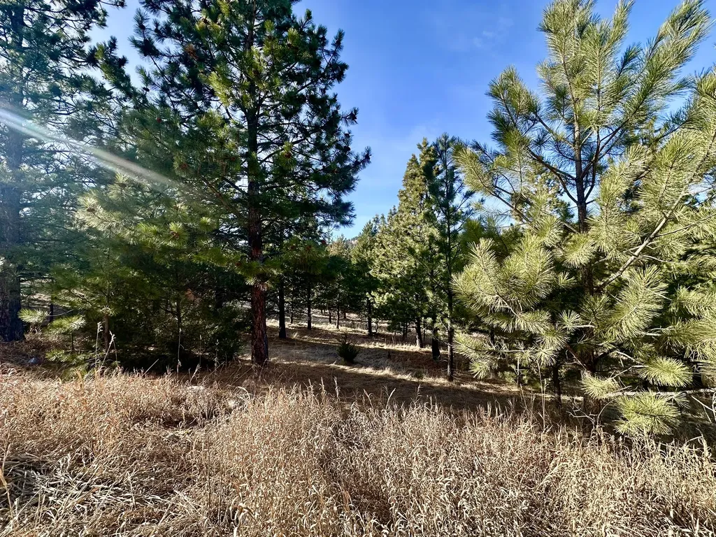 Tbd Martinez Gulch Clancy MT 59634