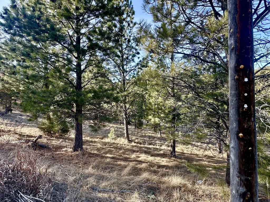 Tbd Martinez Gulch Clancy MT 59634