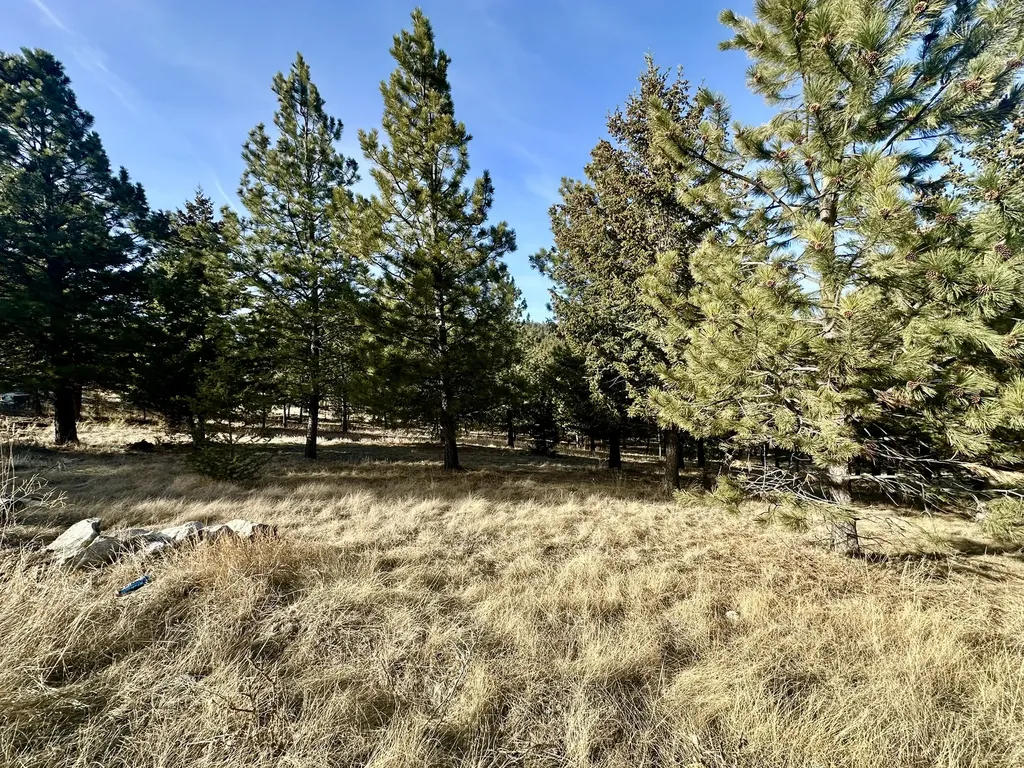 Tbd Martinez Gulch Clancy MT 59634