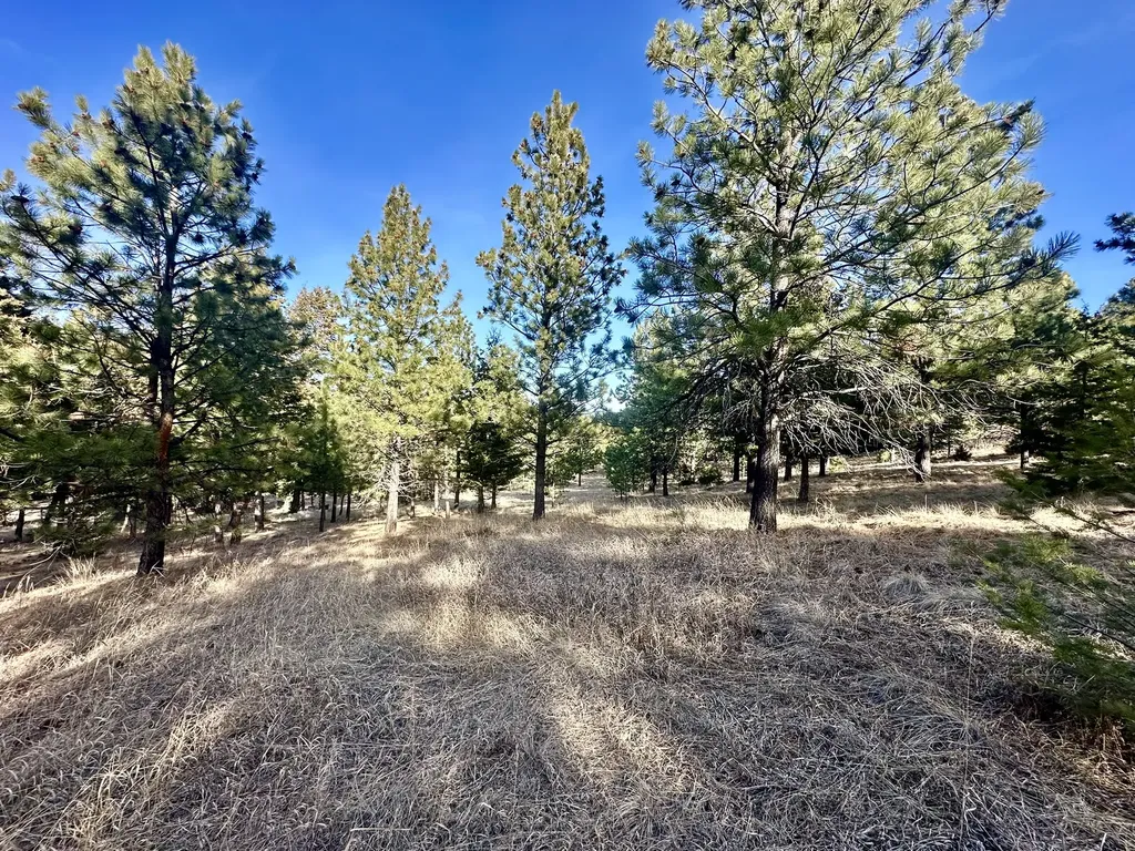 Tbd Martinez Gulch Clancy MT 59634