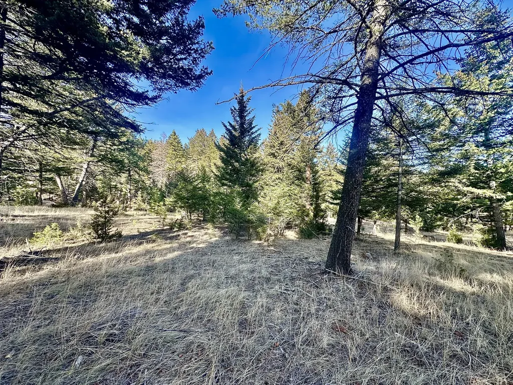 Tbd Martinez Gulch Clancy MT 59634