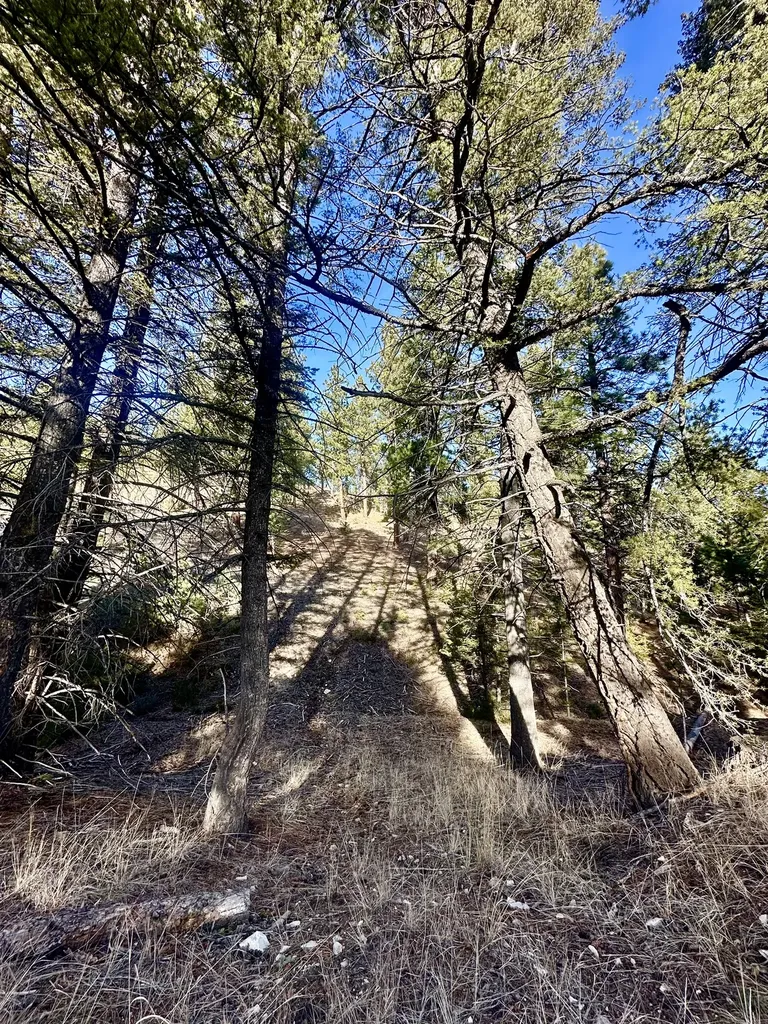 Tbd Martinez Gulch Clancy MT 59634
