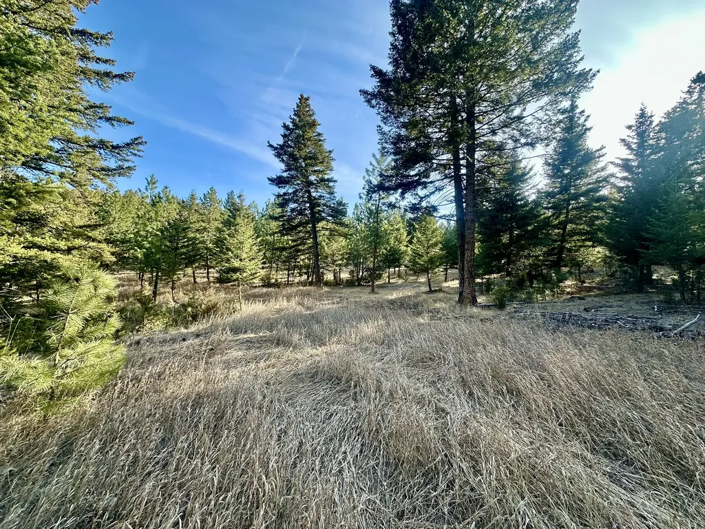 Tbd Martinez Gulch Clancy MT 59634