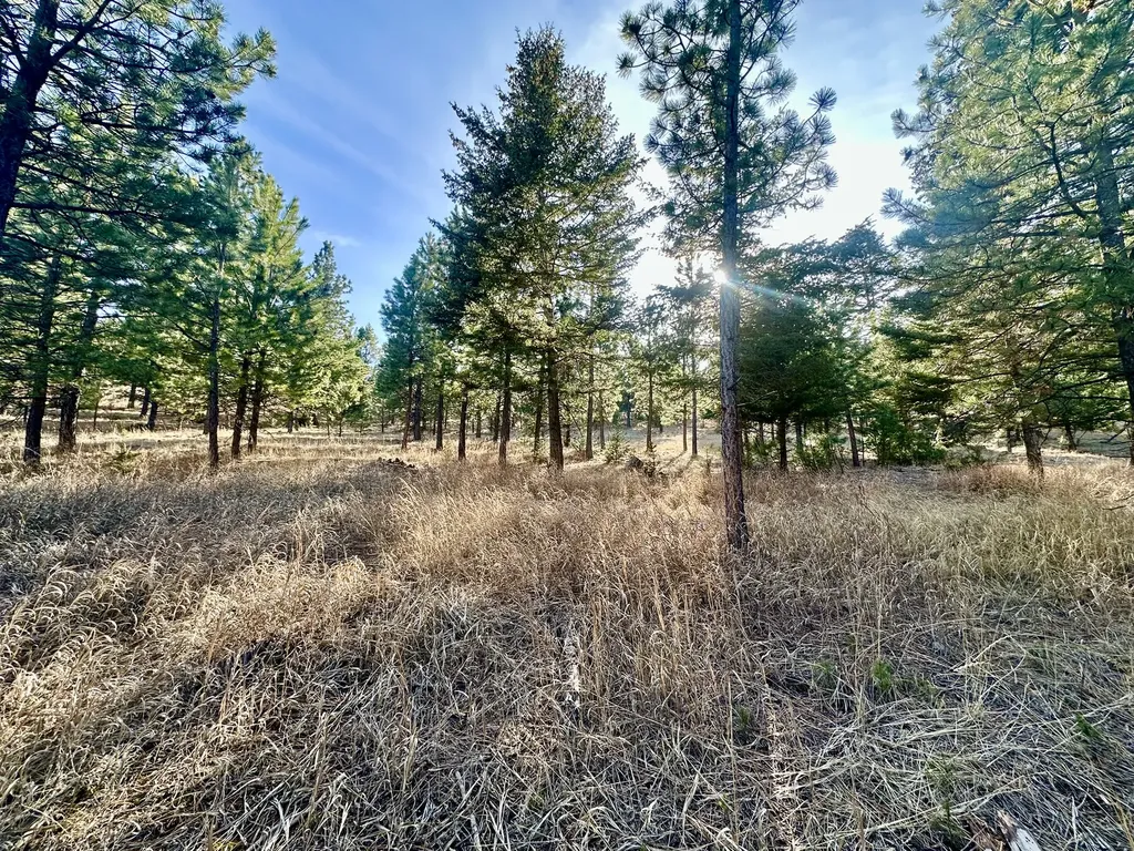 Tbd Martinez Gulch Clancy MT 59634