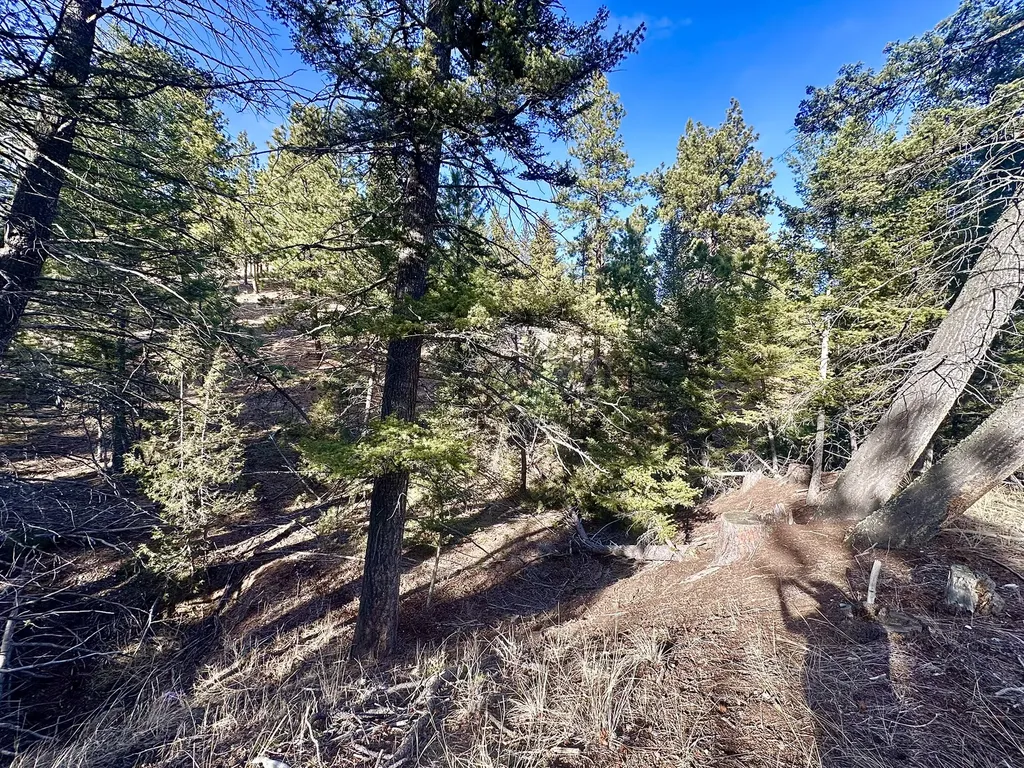 Tbd Martinez Gulch Clancy MT 59634
