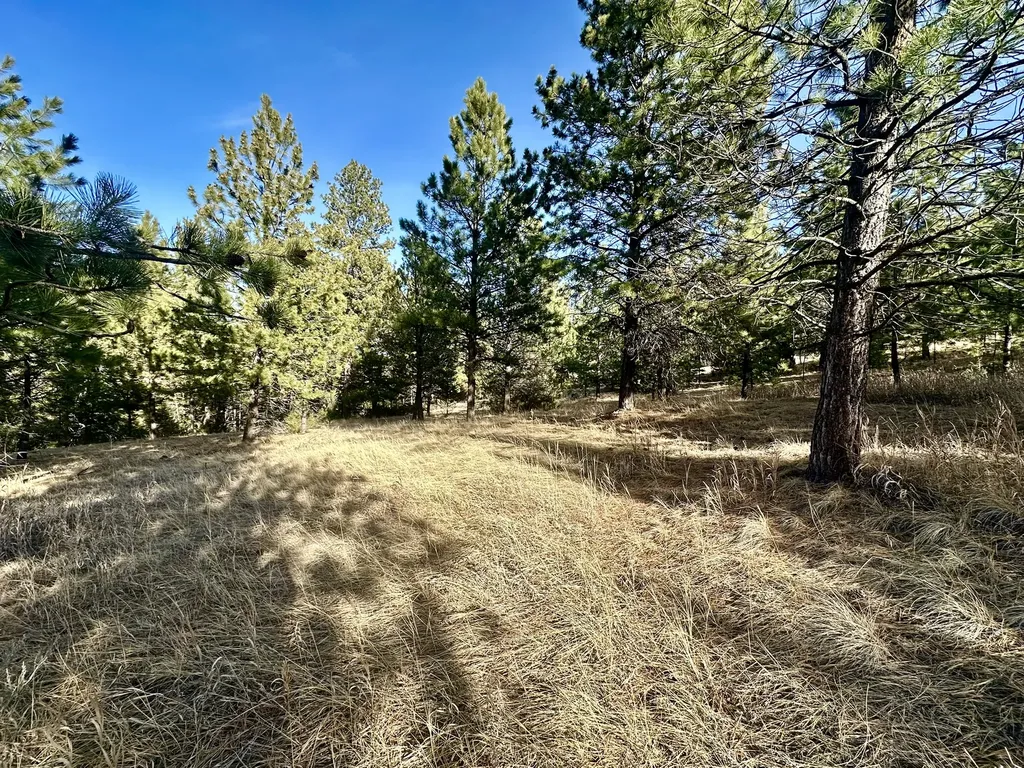 Tbd Martinez Gulch Clancy MT 59634