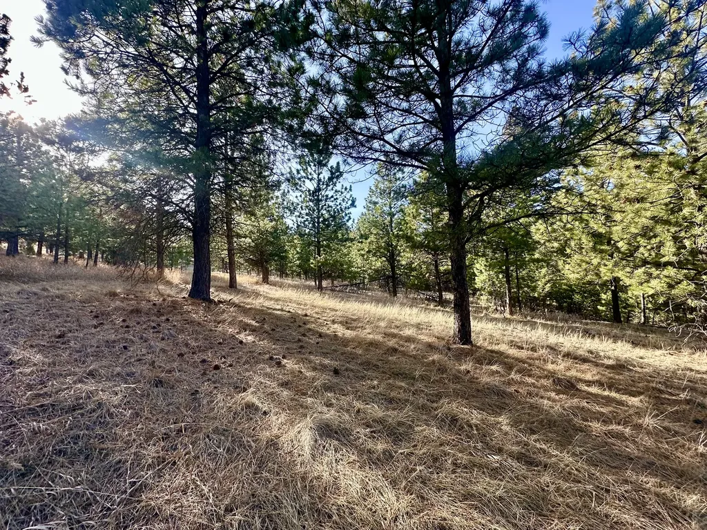 Tbd Martinez Gulch Clancy MT 59634