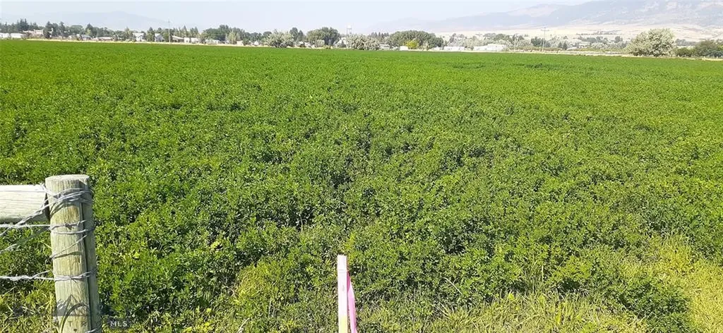 27 Sugar Beet Row Whitehall MT 59759