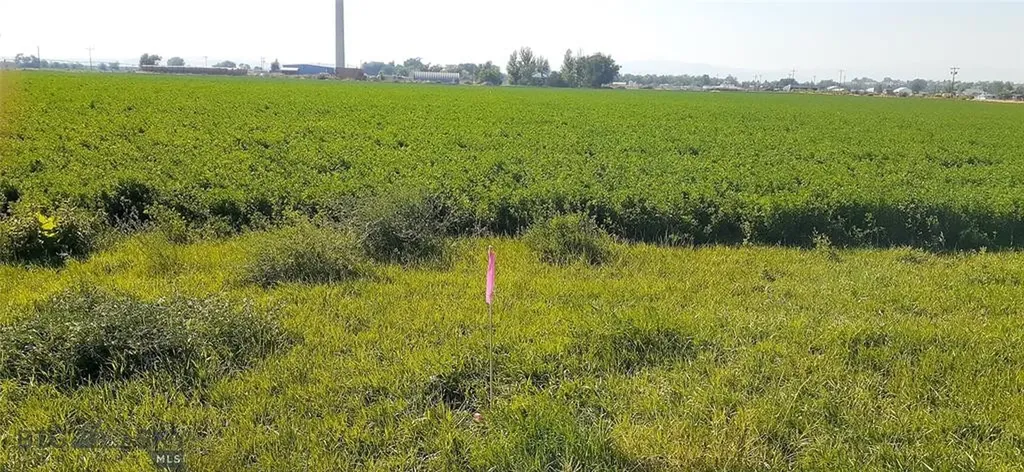 27 Sugar Beet Row Whitehall MT 59759