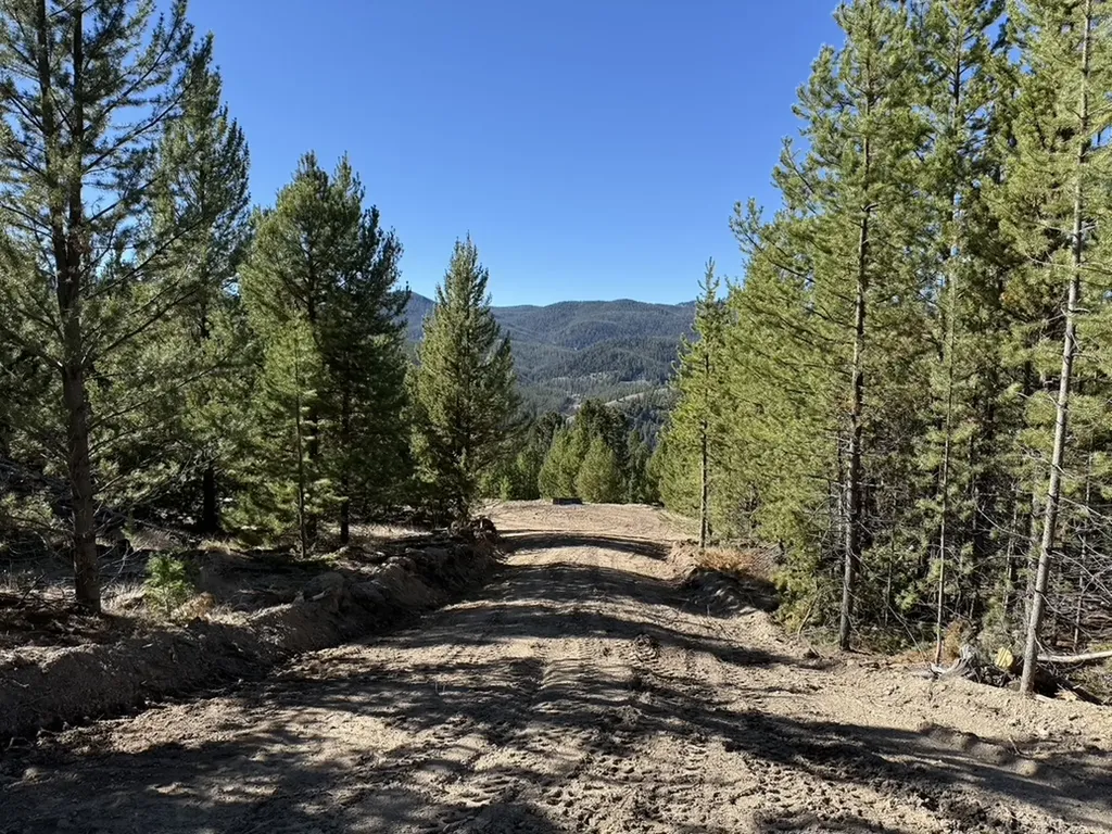 Lot 2 Ruby Mine Road Butte MT 59701