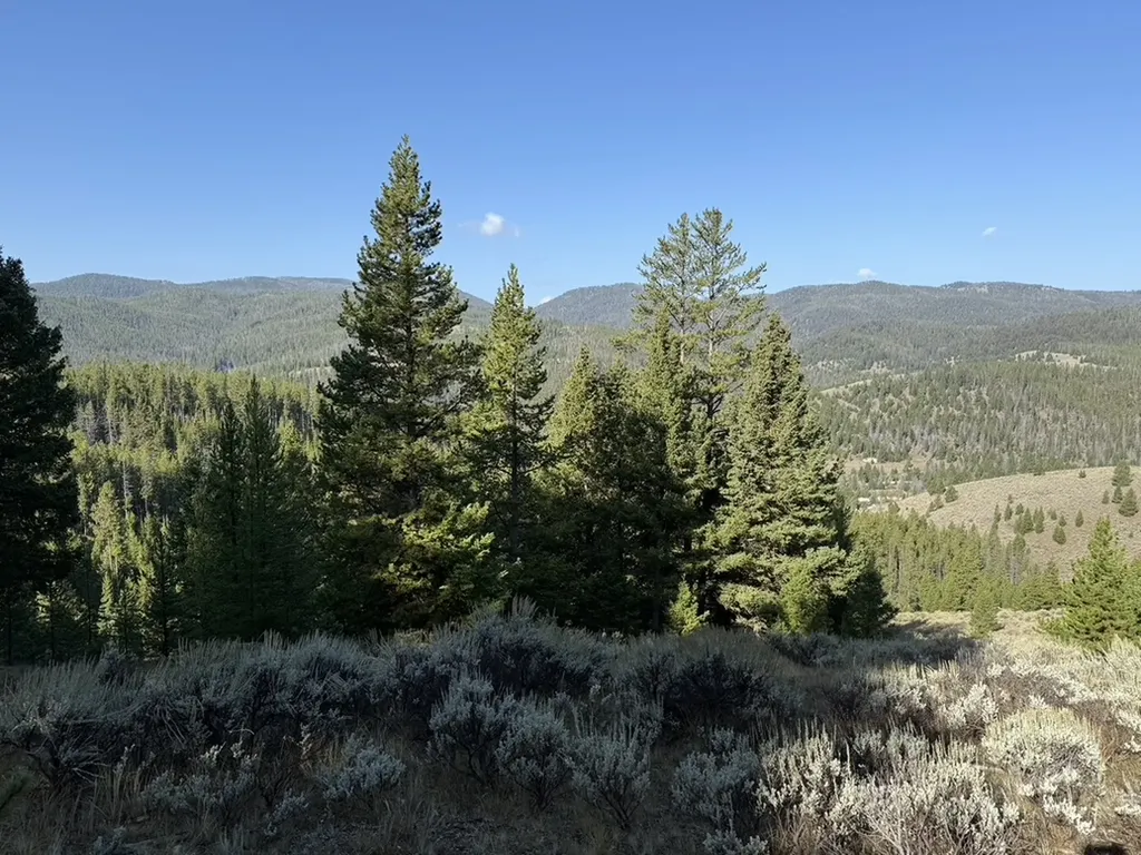 Lot 2 Ruby Mine Road Butte MT 59701