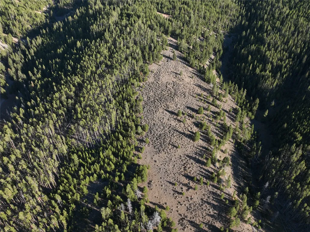 Lot 2 Ruby Mine Road Butte MT 59701